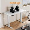 Electric Height Adjustable Standing Desk,Sit to Stand Ergonomic Computer Desk,White,55'' x 24" - as Pic