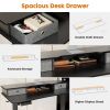 Sweetcrispy Home Office Height Adjustable Electric Standing Desk with Storage Shelf Double Drawer - as Pic