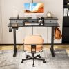 Sweetcrispy Home Office Height Adjustable Electric Standing Desk with Storage Shelf Double Drawer - as Pic