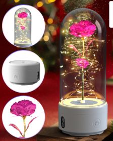 Creative 2 In 1 Rose Flowers LED Light And Bluetooth Speaker Valentine's Day Gift Rose Luminous Night Light Ornament In Glass Cover (Option: White Base Color Flower)